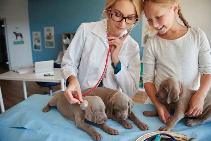 Imagem ilustrativa de Anestesiologista veterinário
