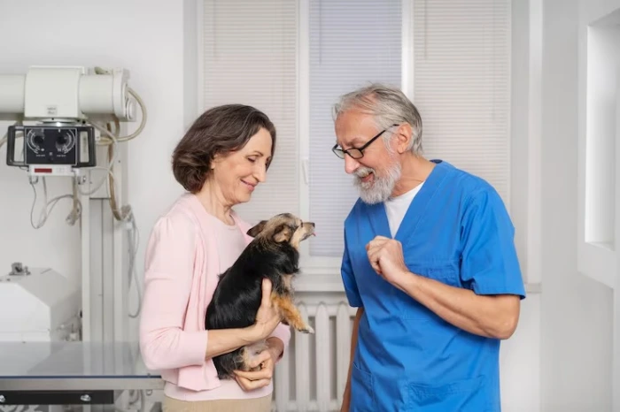 Imagem ilustrativa de Atendimento emergencial para pets