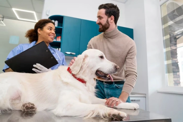 Atendimento veterinário 24 horas