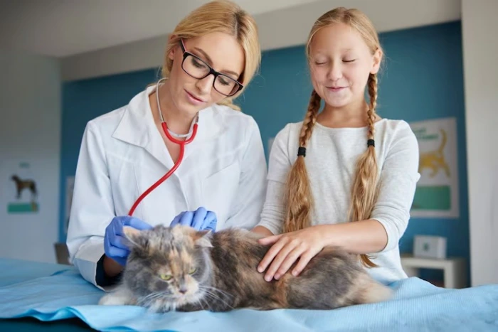 Cardiologista para pet