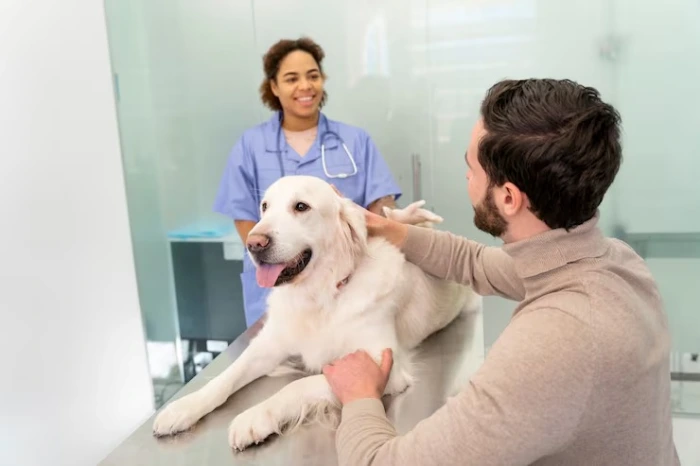 Consulta para cachorro em Curitiba