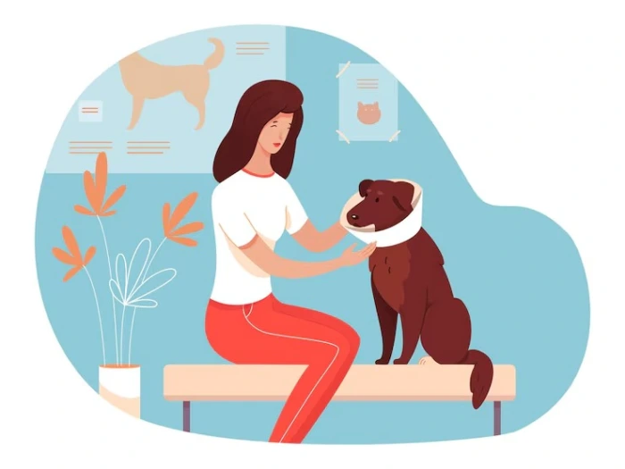 Consulta clínica veterinária