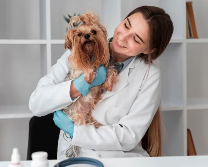 Dermatologista canino no Paraná