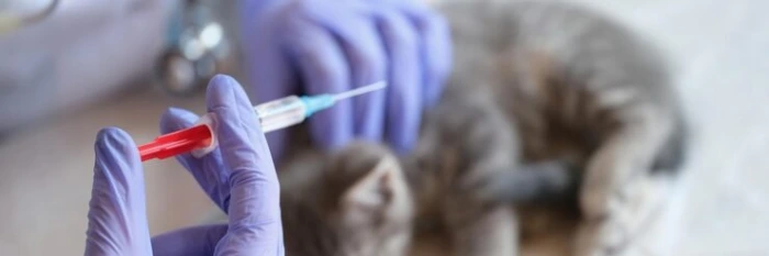 Exame de sangue veterinário