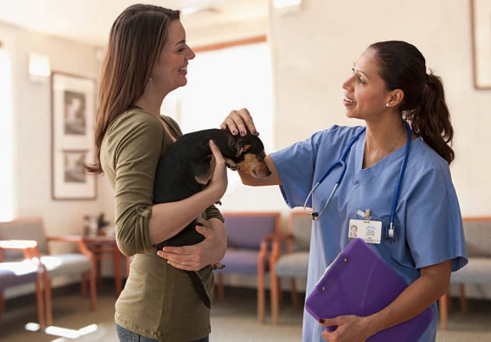 Pronto atendimento veterinário