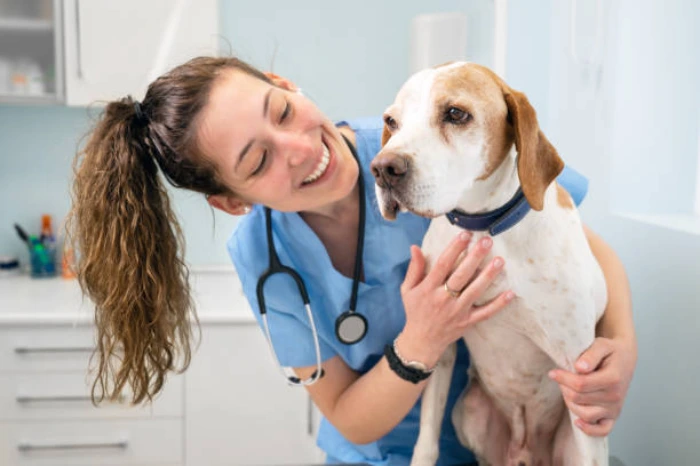 Pronto atendimento veterinário no Paraná