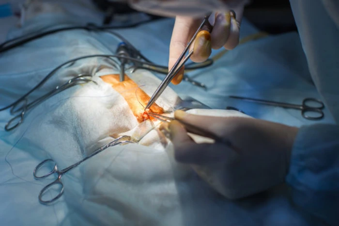 Serviço de cirurgia veterinária